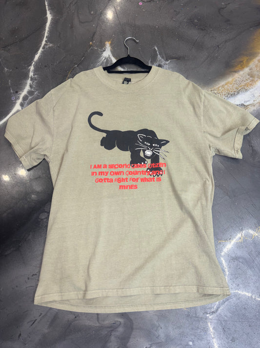 Raw Material “I am a second class citizen in my own country and I gotta fight for what is mines” Tee