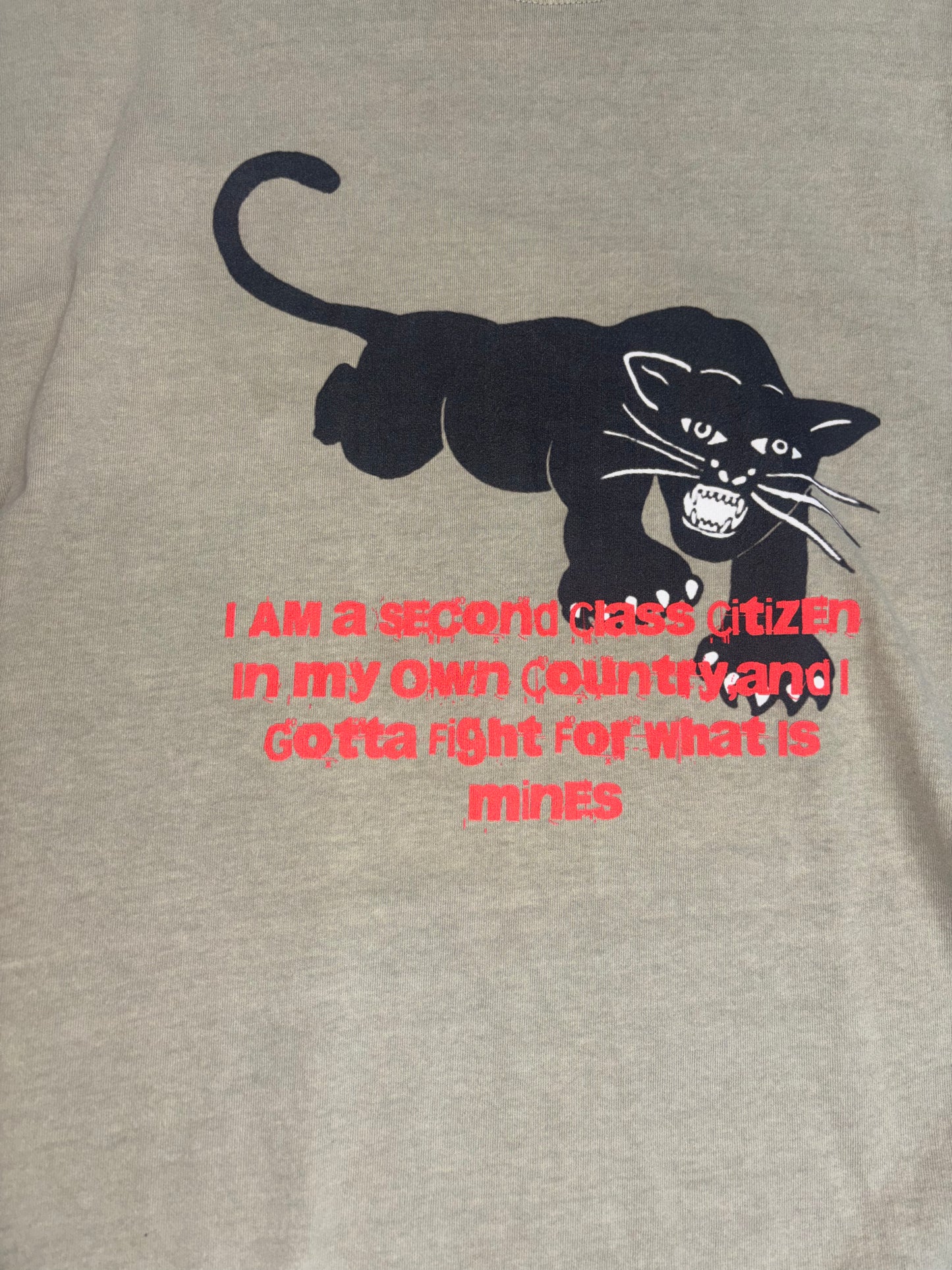 Raw Material “I am a second class citizen in my own country and I gotta fight for what is mines” Tee